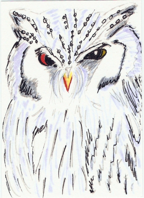 My first Owl ATC